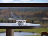 Россиянам запретили курить и жарить шашлыки на балконах